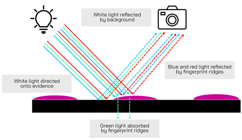 contrast imaging 1 1024x594 1