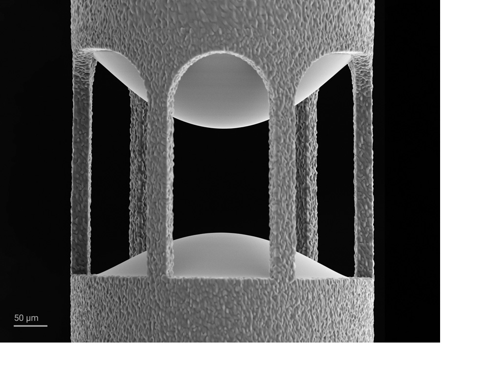 SEM image of 3D printed posts in lens array