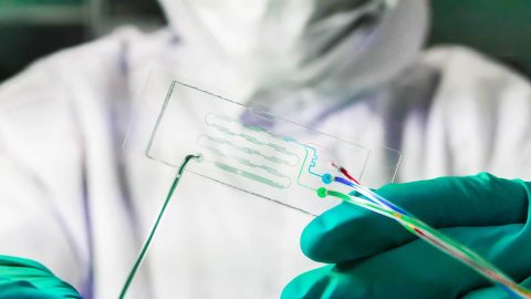 Warsash Microfluidics