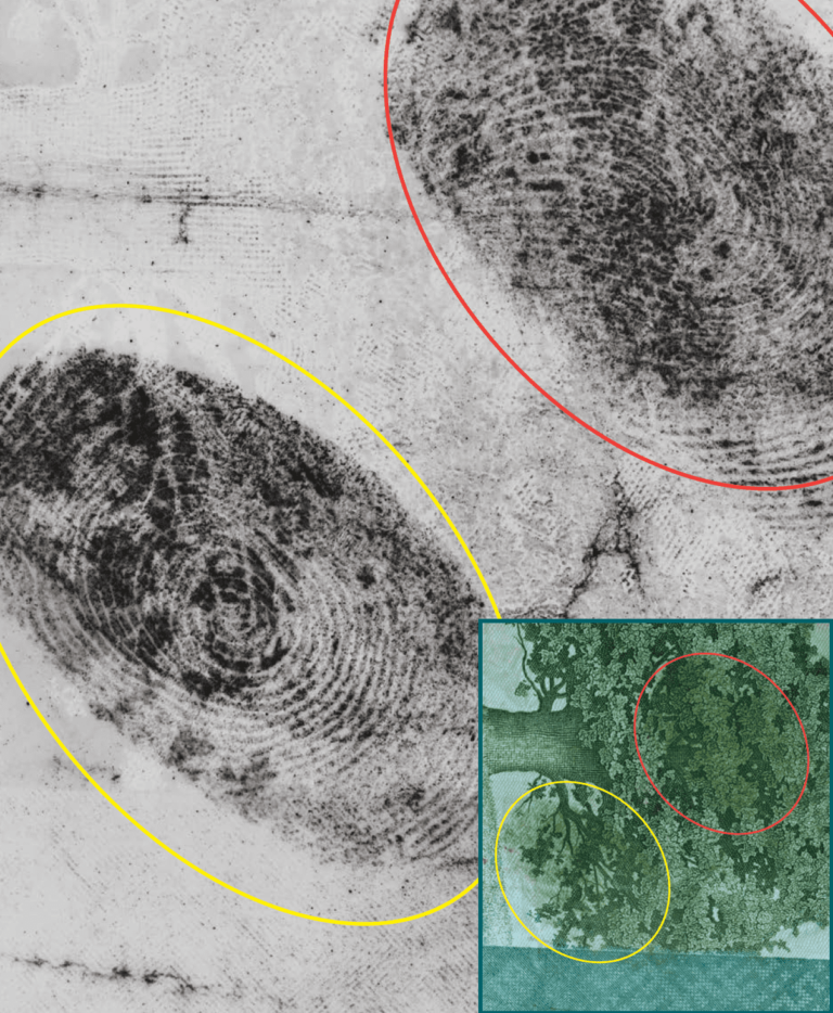 DCS5 Fingerprint Imaging