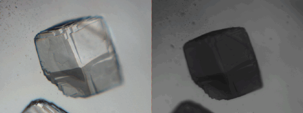 The Latest in Geological and Biological Analysis from Craic 1 protein crystal